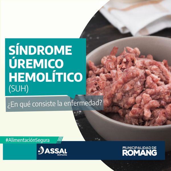 Lee más sobre el artículo ASSAL Romang informa sobre el Síndrome Urémico Hemolítico (SUH)
