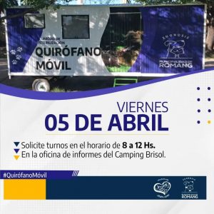 Jornada de castraciones con el Quirófano Móvil en el Camping Municipal Brisol
