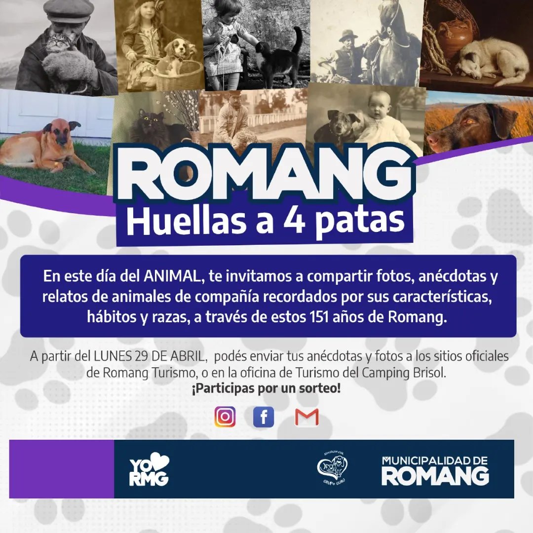 Lee más sobre el artículo «Huellas a 4 Patas»: Celebrando el Día del Animal en Romang