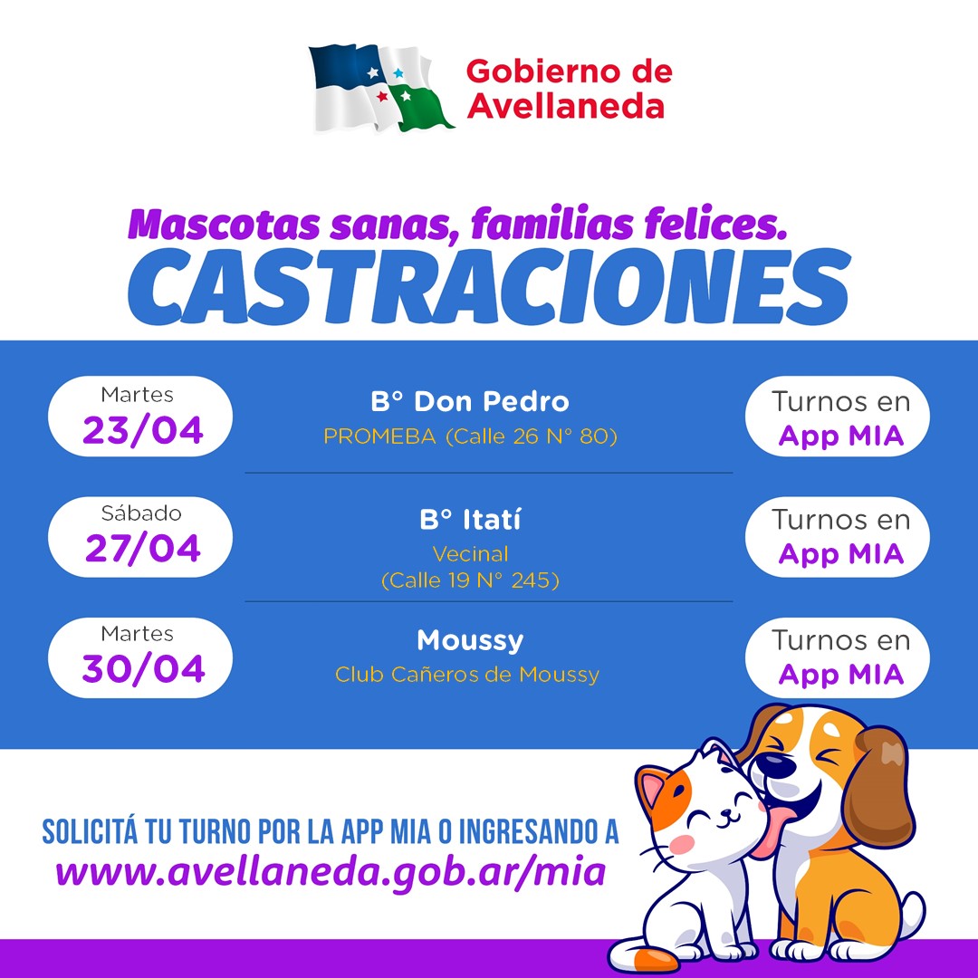 Lee más sobre el artículo Castraciones de mascotas disponibles en Avellaneda