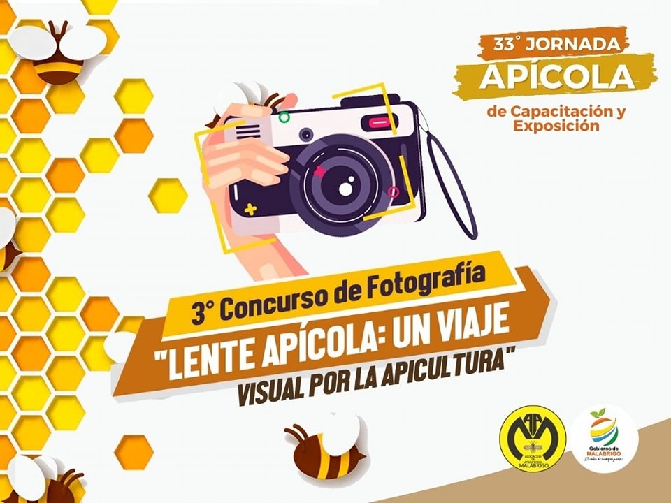 ¡Participa en el 3er Concurso de Fotografía Apícola ‘Lente Apícola’!