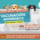 Campaña de Vacunación Antirrábica en Plaza San Martín en Malabrigo