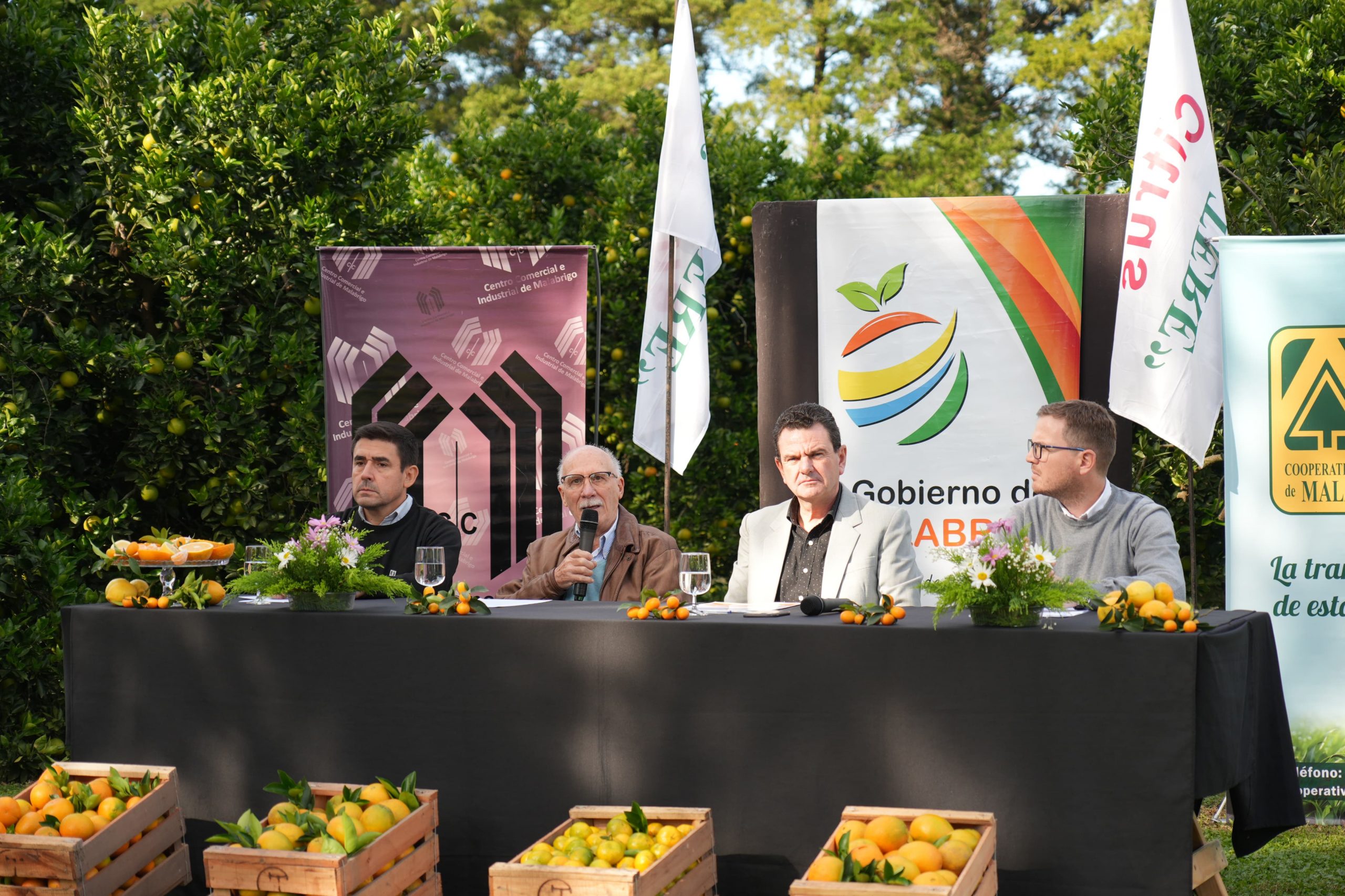 Lee más sobre el artículo La Fiesta del Citrus de Malabrigo promete un fin de semana inolvidable