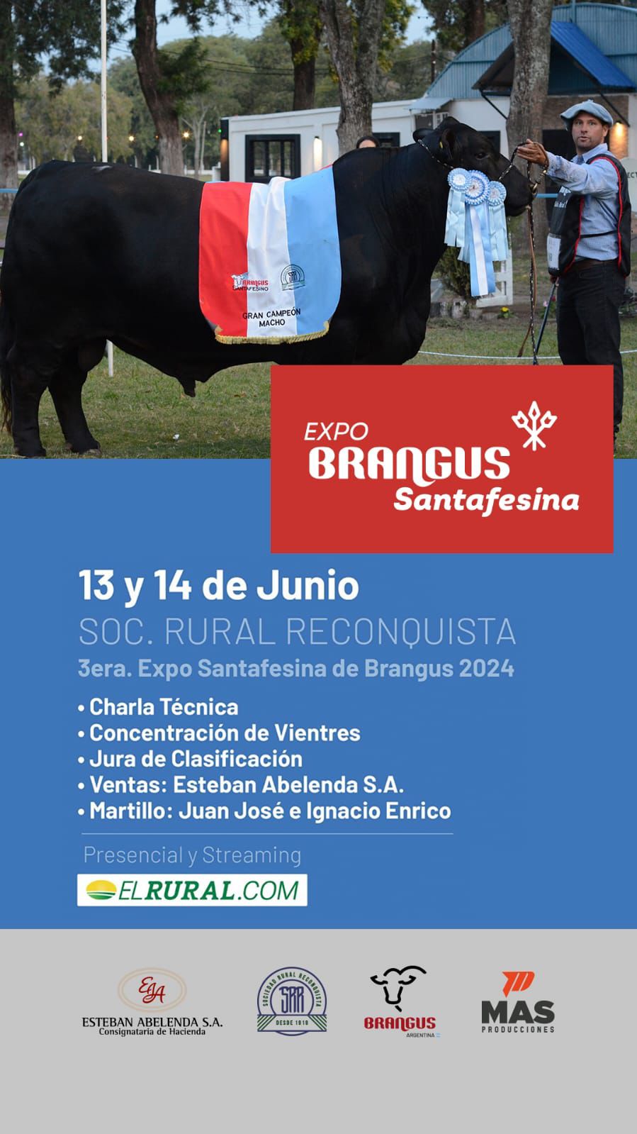 Lee más sobre el artículo 3.ª Expo Santafesina de Brangus: 13 y 14 de junio de 2024