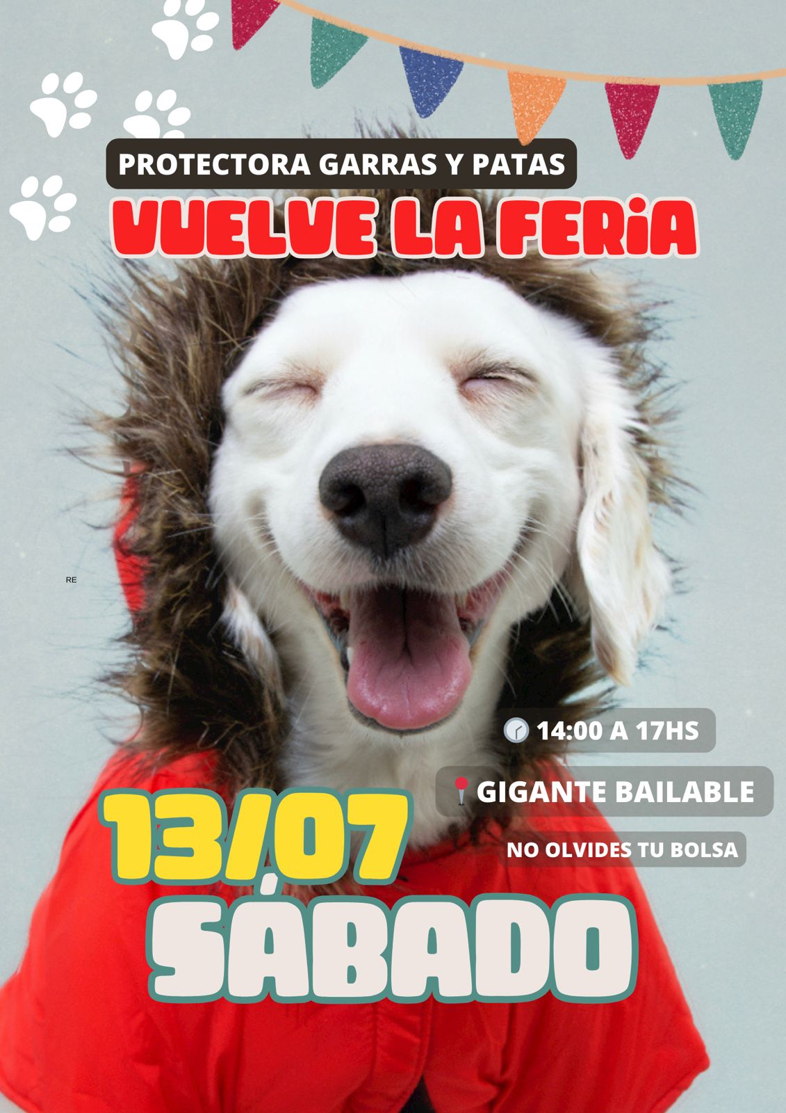 Lee más sobre el artículo La Protectora Garras y Patas invita a la Feria a Cielo Abierto este sábado