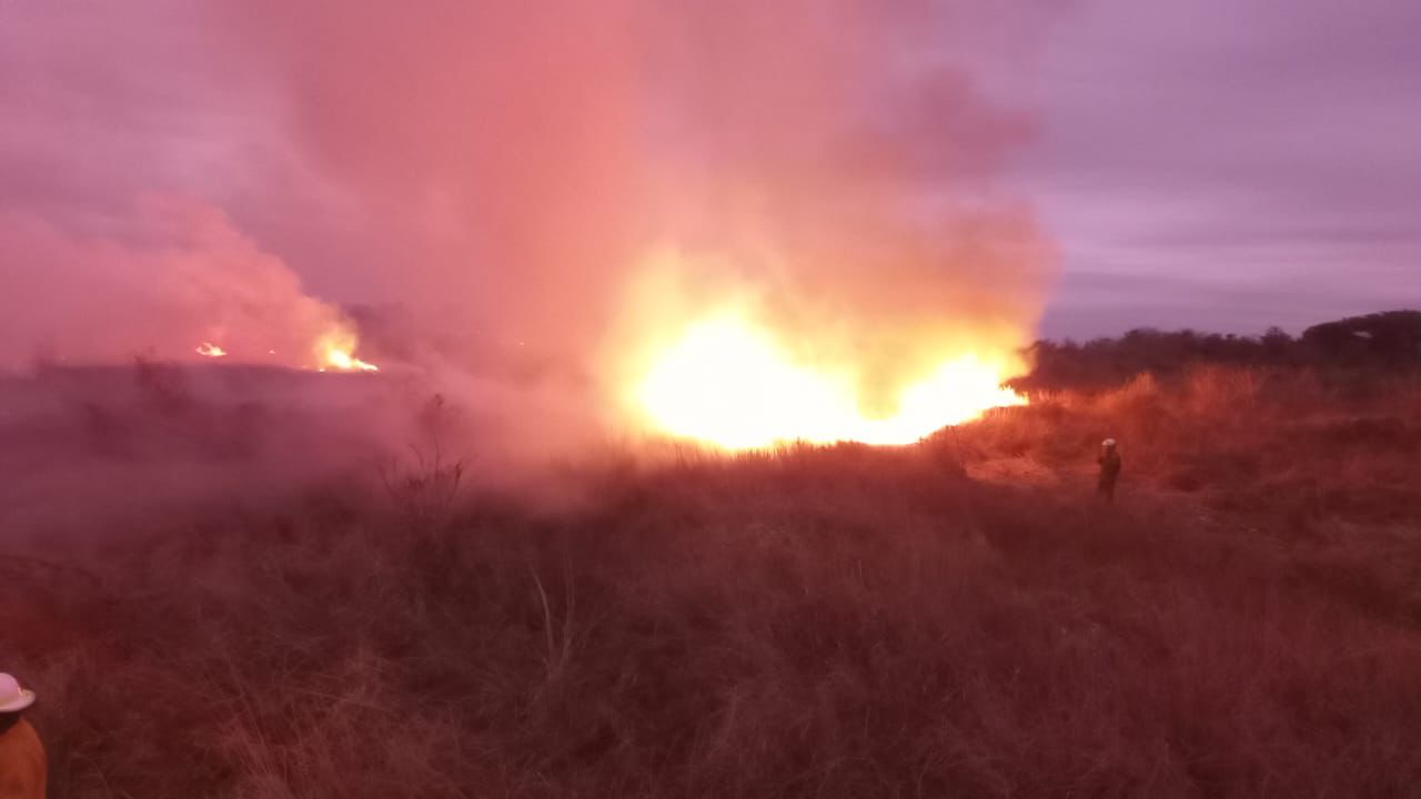 Lee más sobre el artículo Bomberos Voluntarios de Avellaneda y Reconquista sofocaron múltiples incendios de pastizales durante el fin de semana