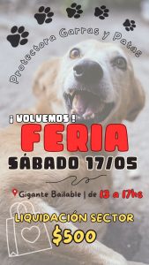 Nueva edición de la Feria a Cielo Abierto organizada por Garras y Patas
