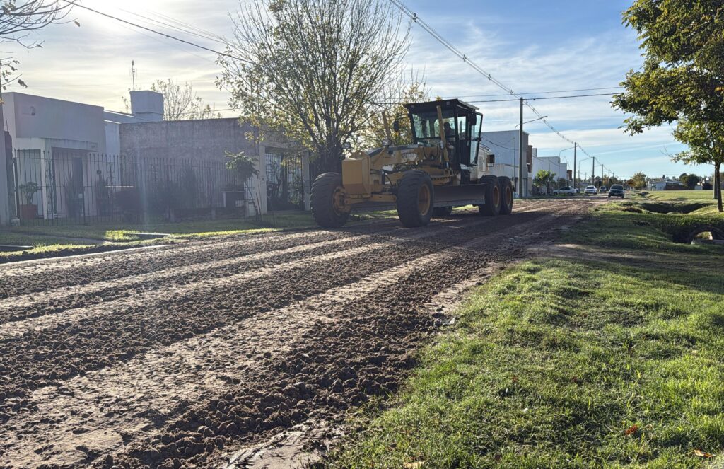Mantenimiento de calles con sembrado de piedra en Avellaneda
