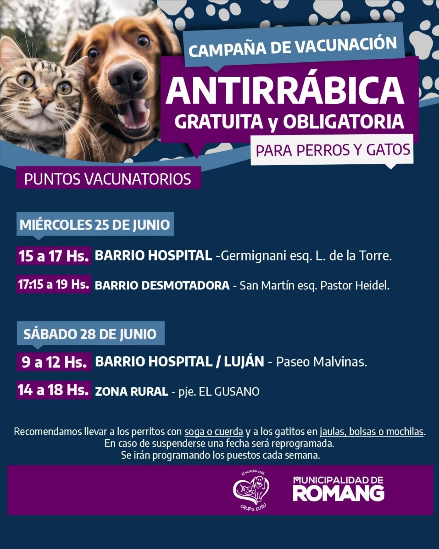 Lee más sobre el artículo Romang inicia la Campaña de Vacunación Antirrábica 2025 para perros y gatos