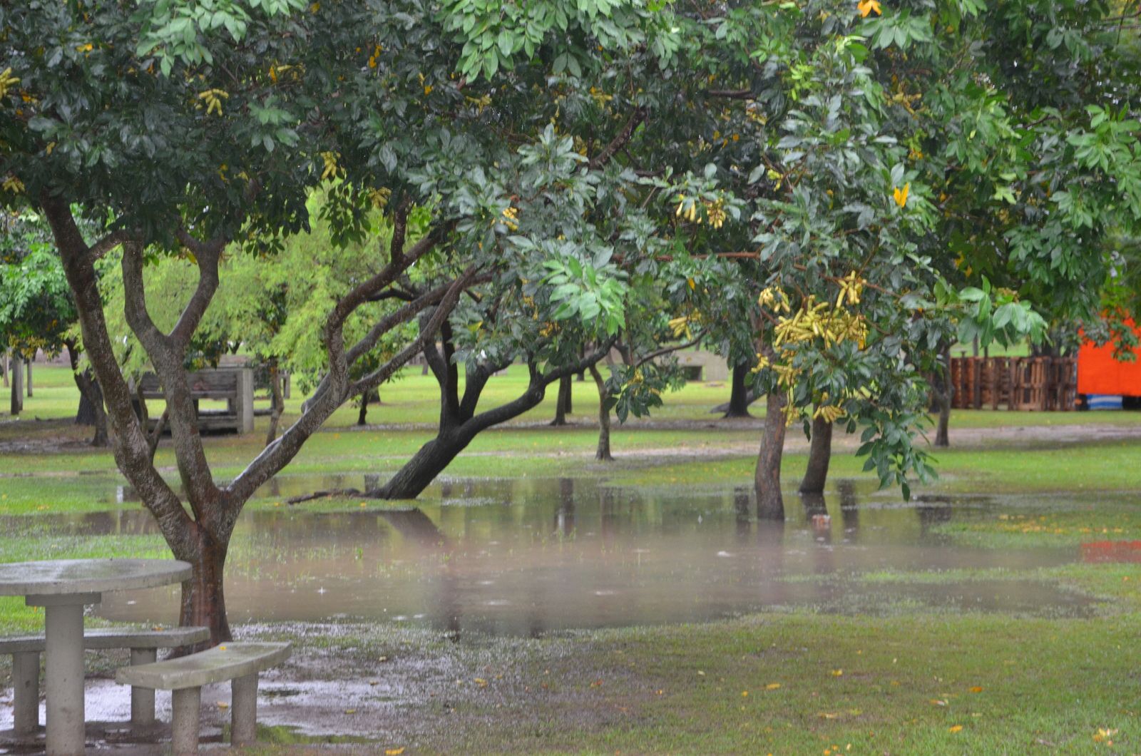 Lee más sobre el artículo Suspensión de la 37ª Fiesta Provincial del Sol