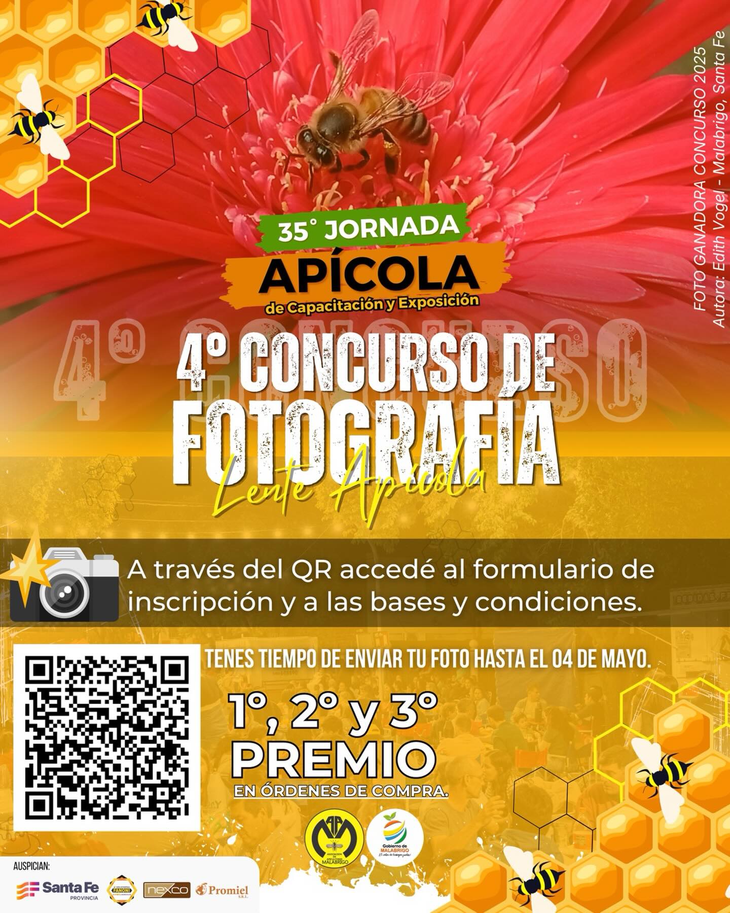 Lee más sobre el artículo Lanzan el concurso fotográfico “Lente Apícola 2026” en el marco de la 35ª Jornada Apícola